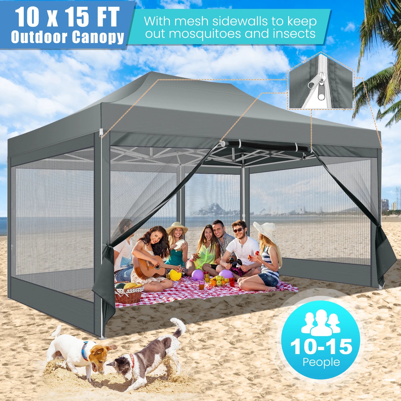 10x15 FT Heavy Duty Pop Up Canopy
