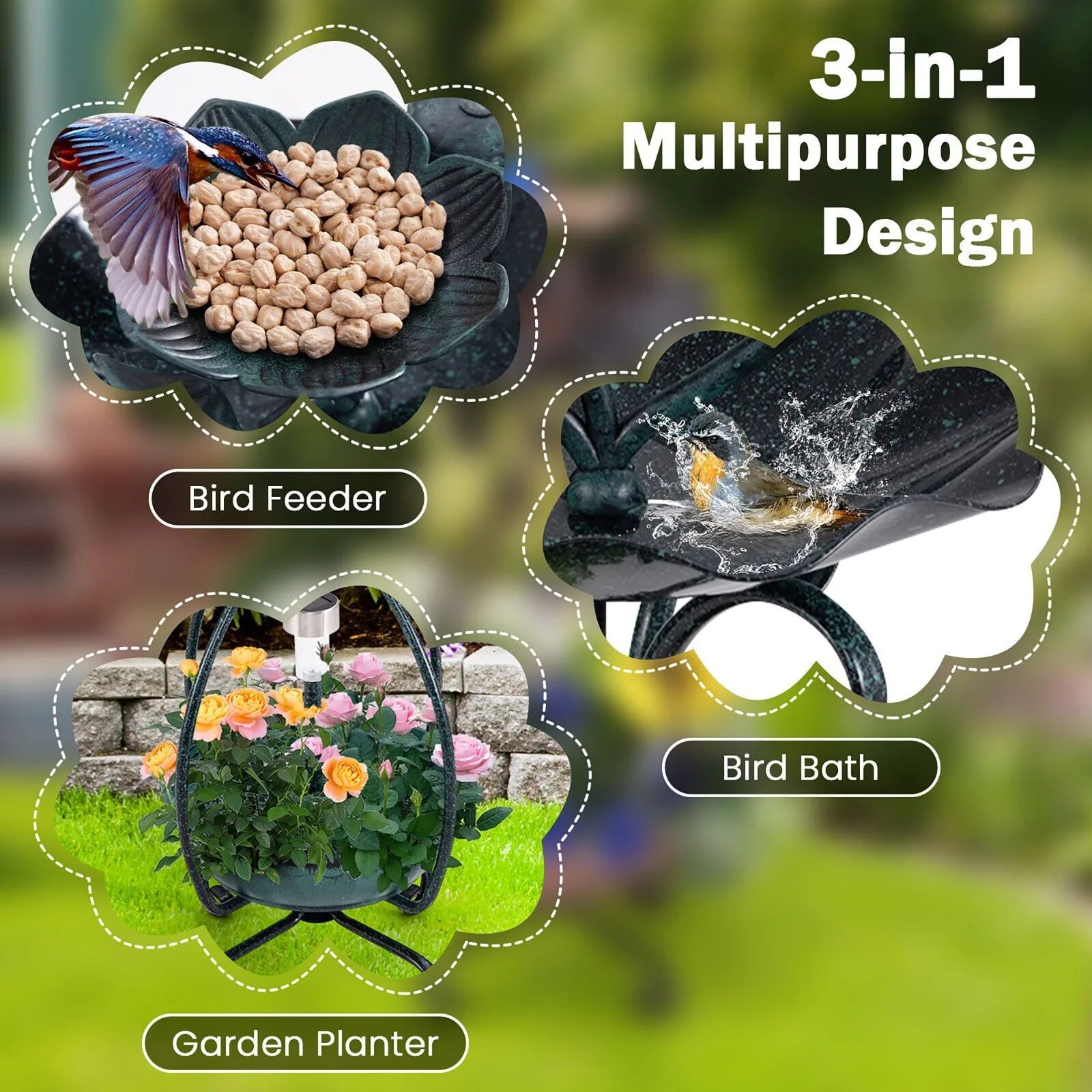 Solar Outdoor Bird Bath & Feeder Combo