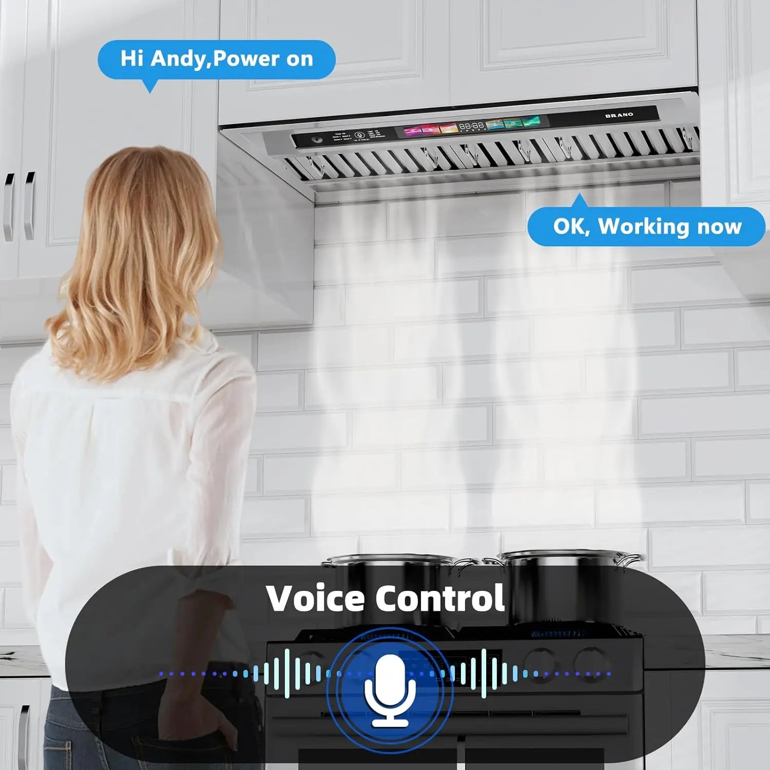 Built-in  Hood Vent with 4 Speed Exhaust Fan