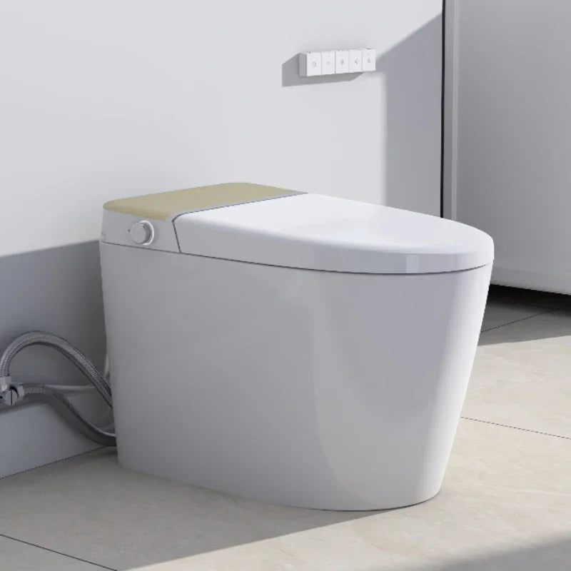 Smart Toilet, Elongated One Piece Bidet Toilet
