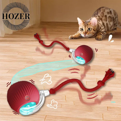 Automatic Rolling Ball