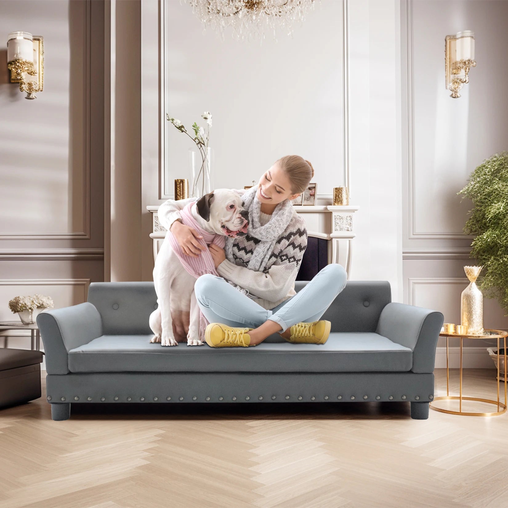 Pet Sofa