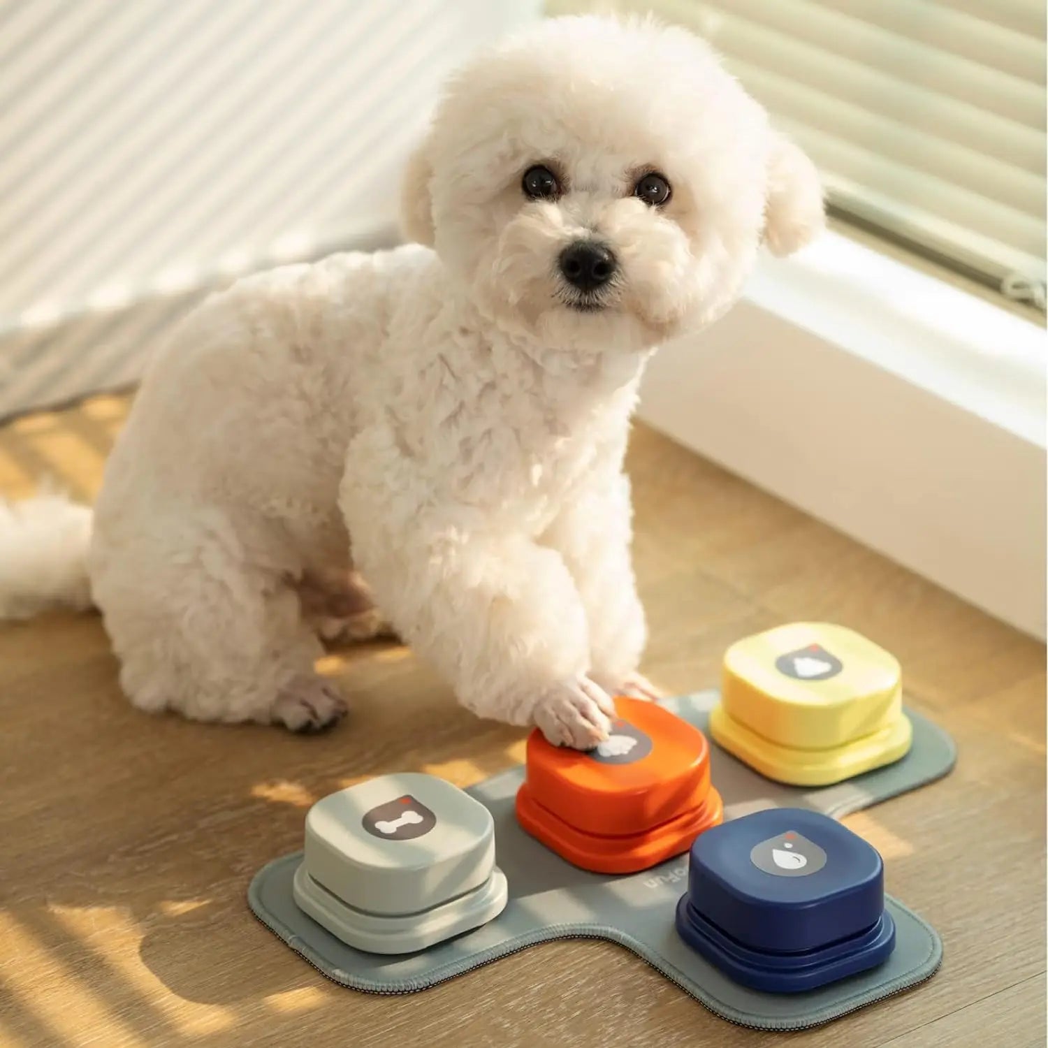 Dog Buttons with Rubber Mat Recordable Talking