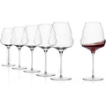 Burgundy Red Wine Glasses Set of 6