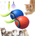 Interactive Cat Toy