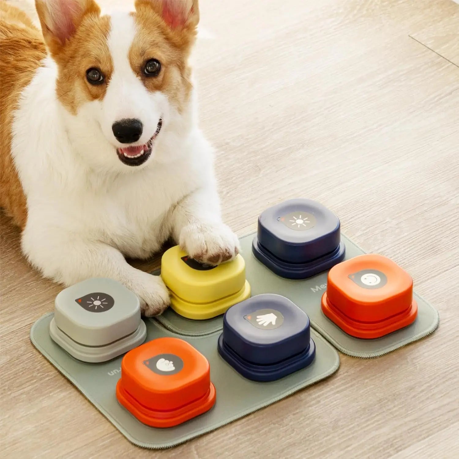 Dog Buttons with Rubber Mat Recordable Talking