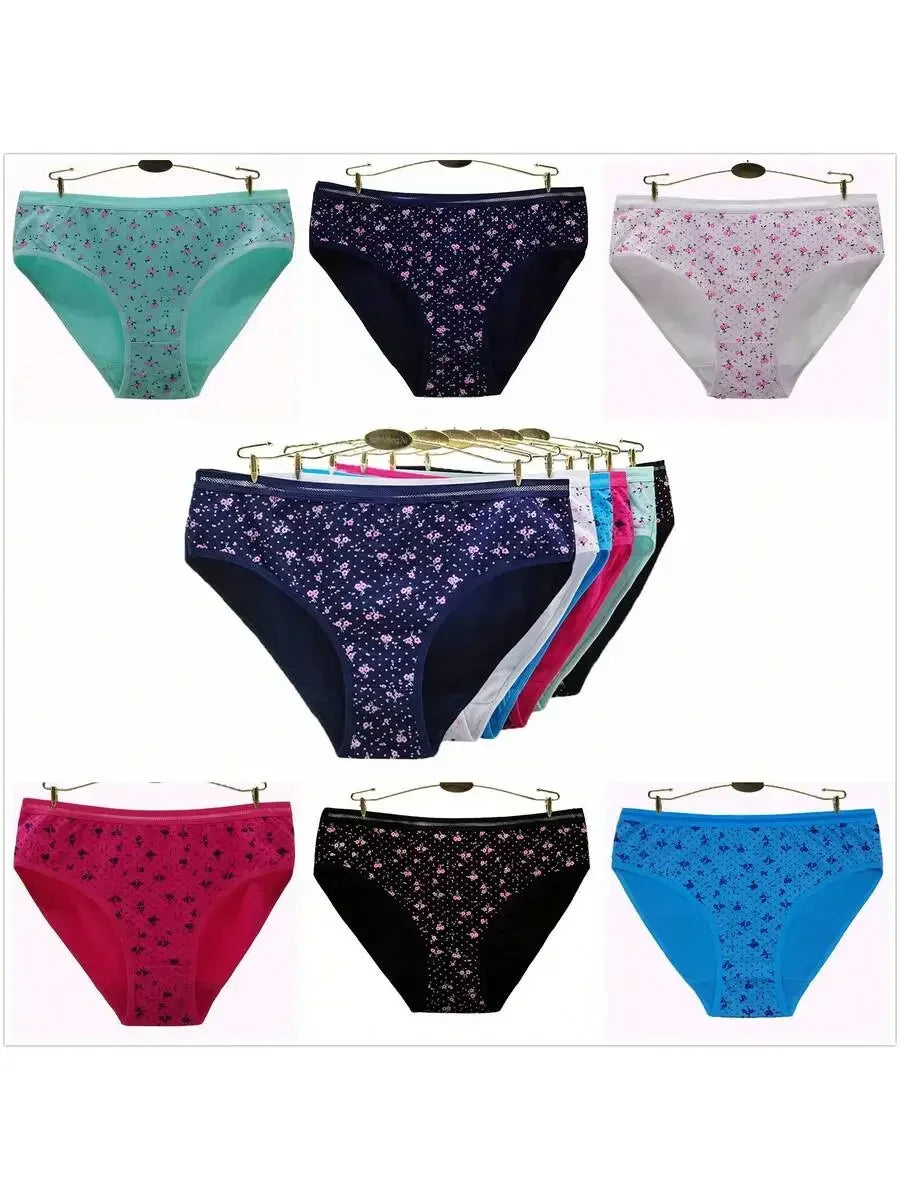 Plus Size 6 Pack Underwear