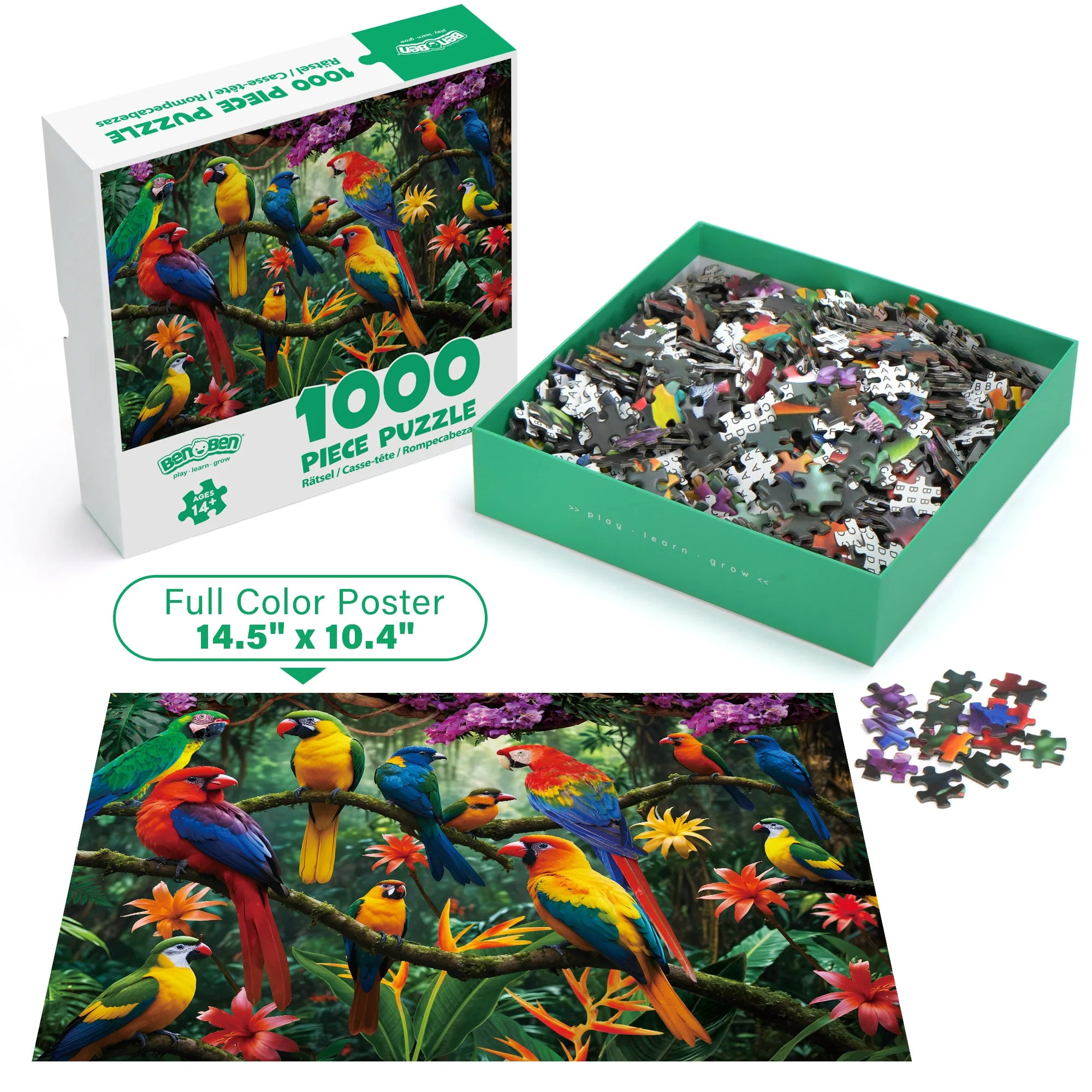 Adults 1000 Piece Jigsaw Puzzle