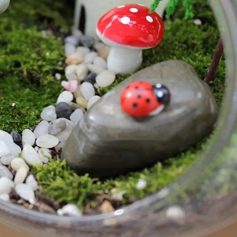 Round Terrarium Fish Bowl