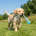 Treat Dispenser Ball & Rope