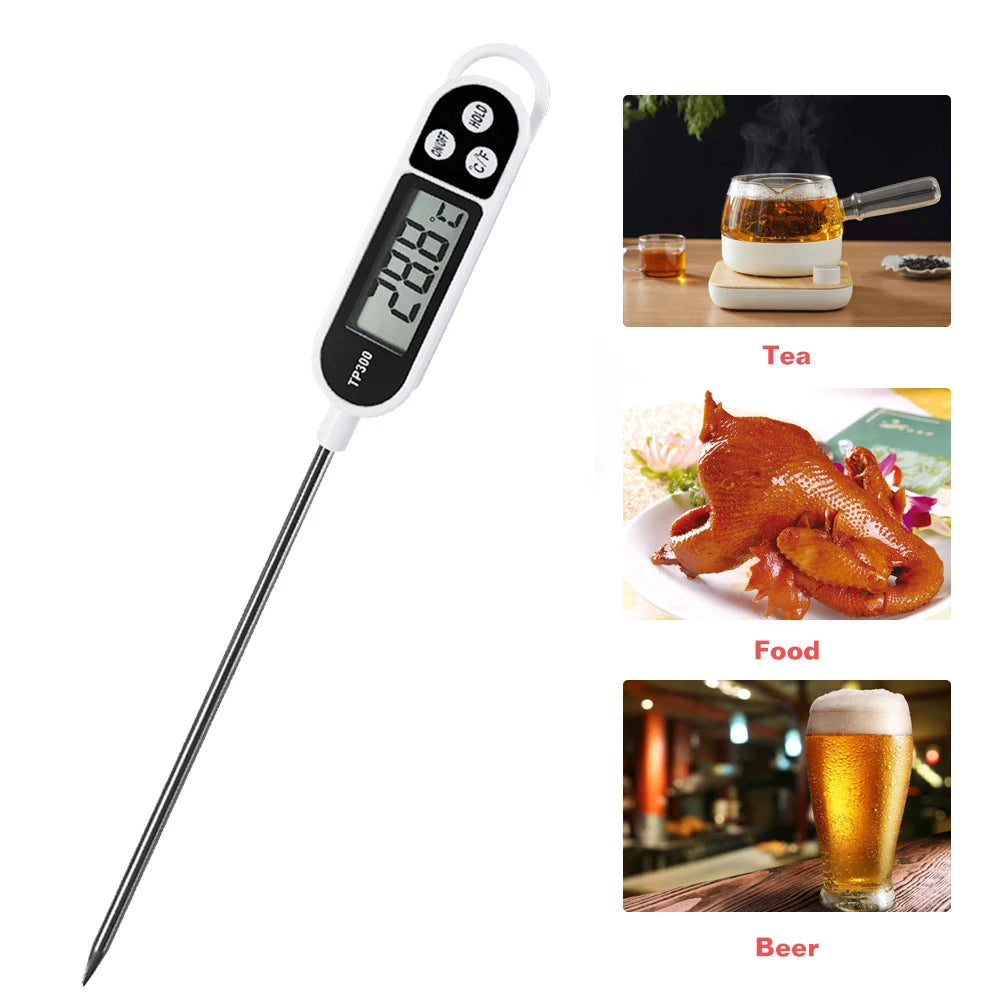 Electronic Food Probe