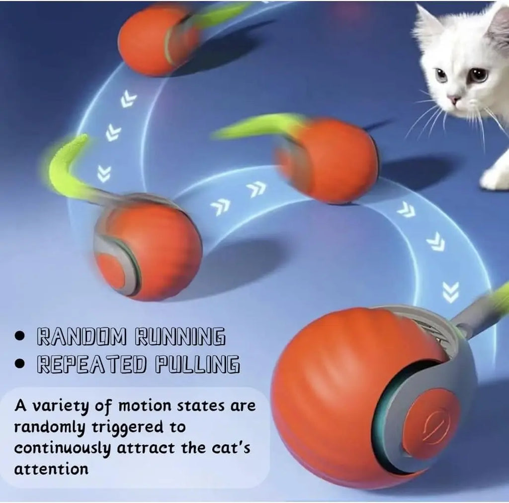 Interactive Cat Toy