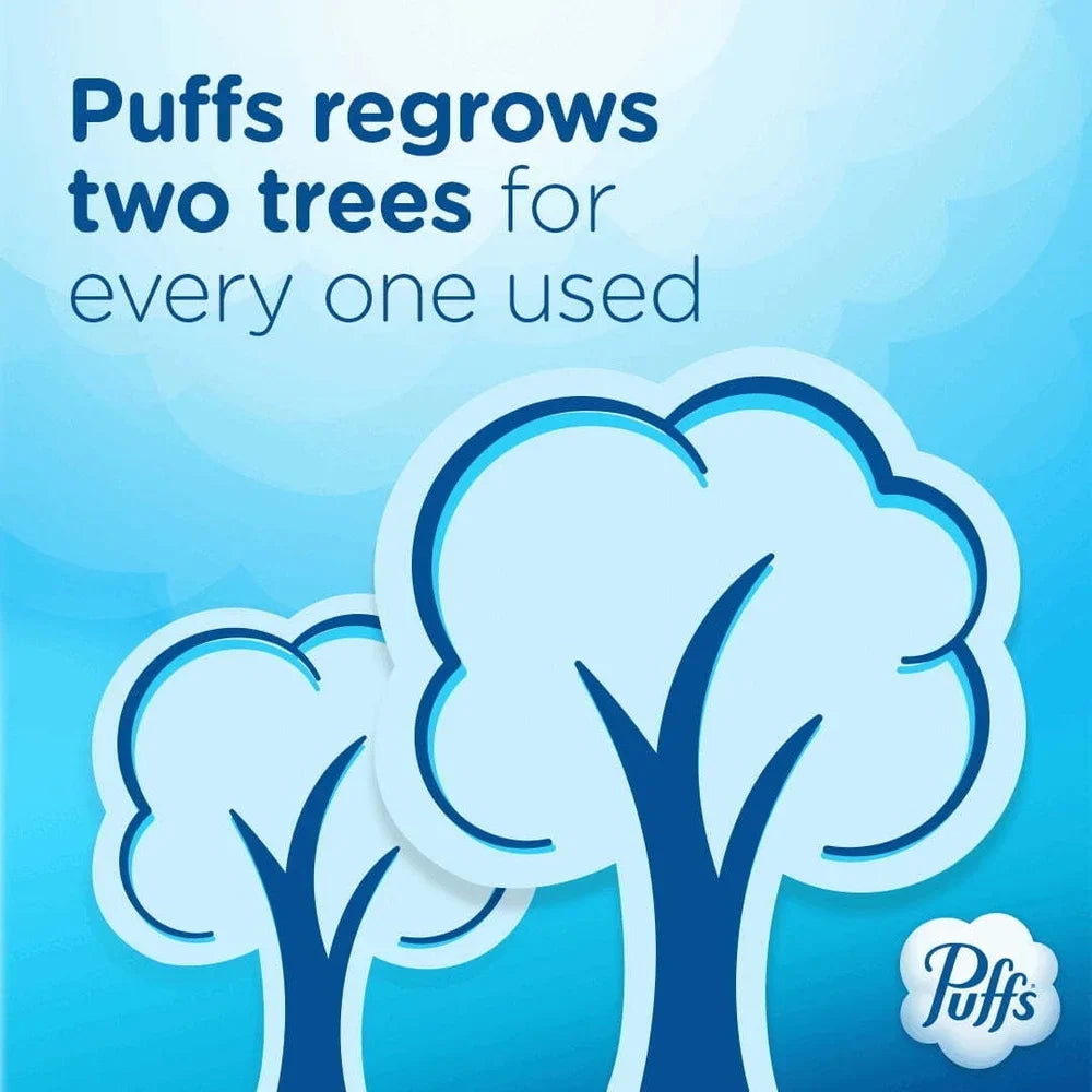 Plus Lotion Facial Tissues