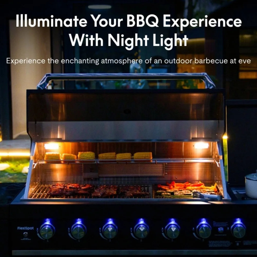 8-Burner Outdoor Gas Grill