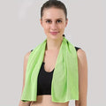 Cooling Sports Towel with Case