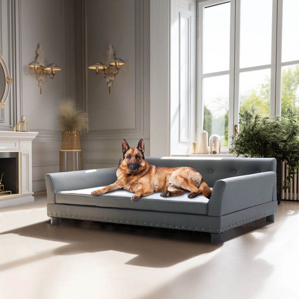 Pet Sofa