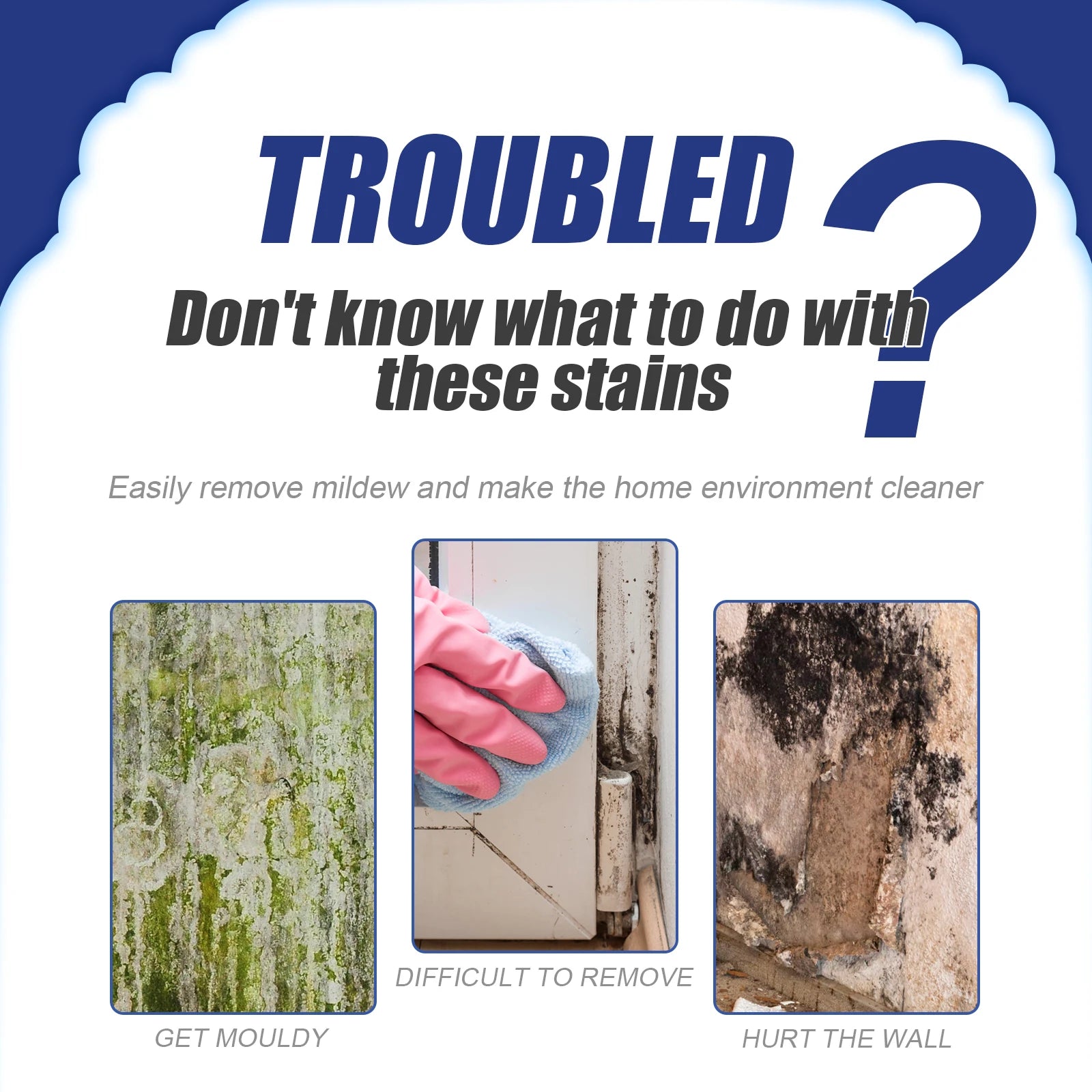 Mold Mildew Remover
