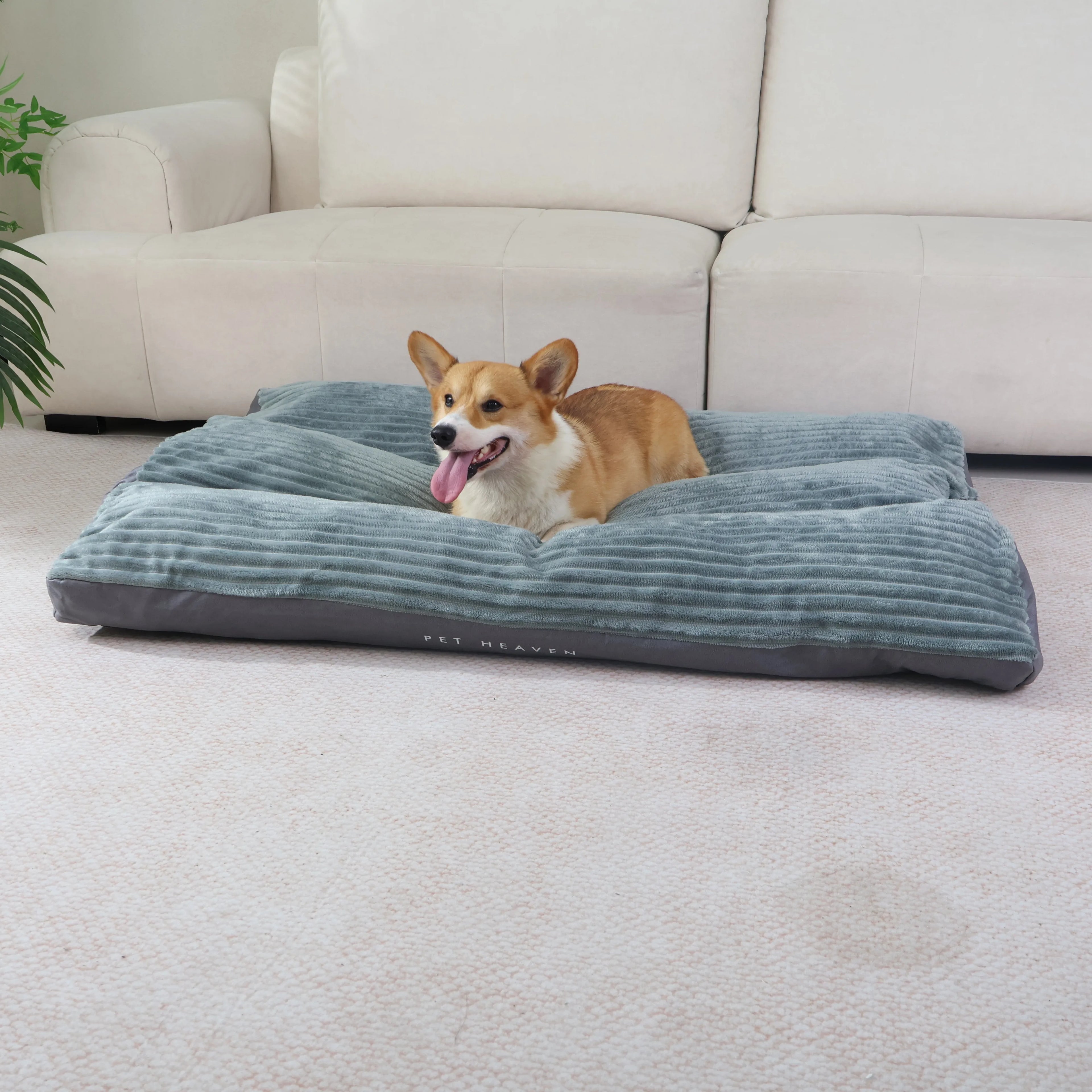 Deluxe Dog Bed