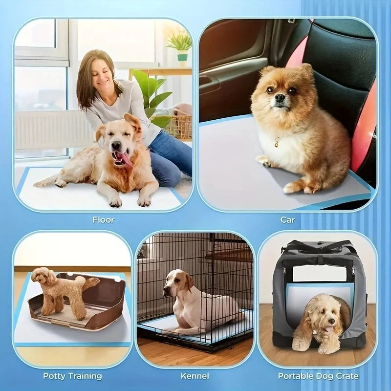 Dog Pee Pads