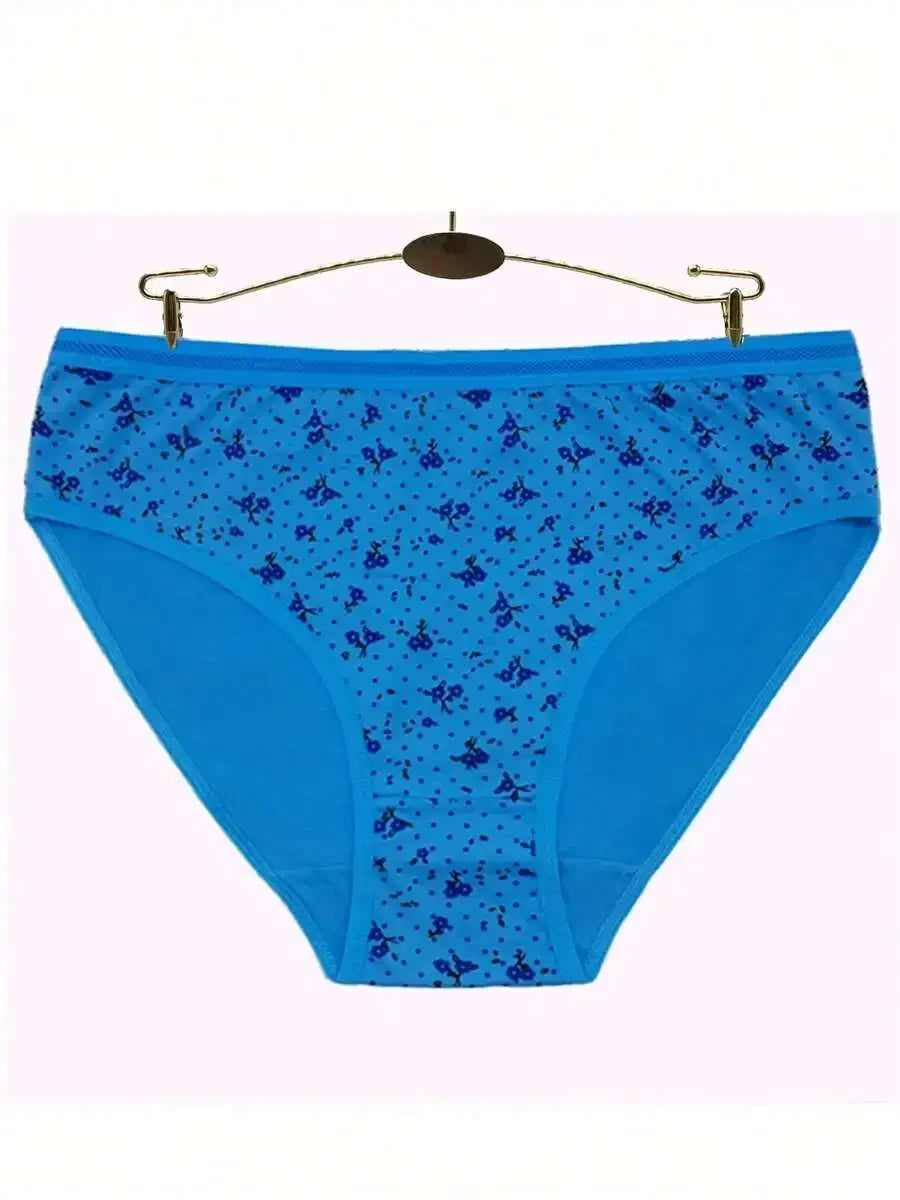 Plus Size 6 Pack Underwear