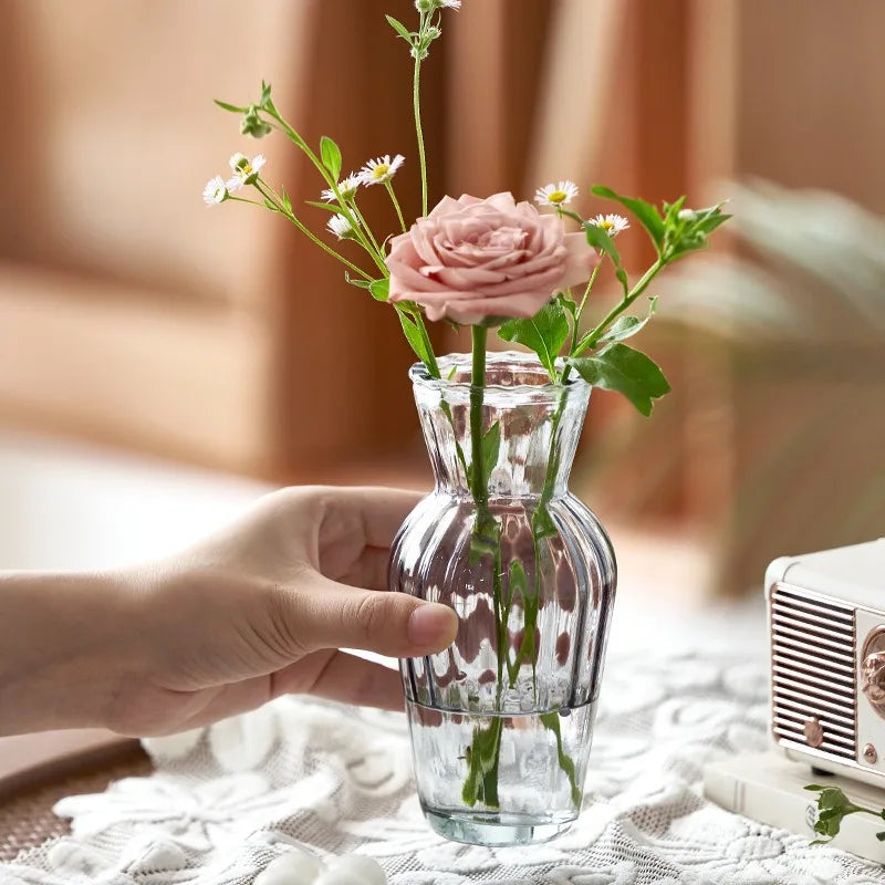 Hydroponic Planter for Home/Office