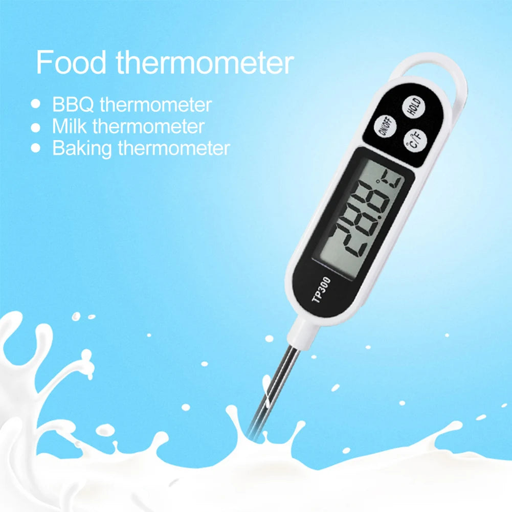Electronic Food Probe