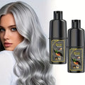 Silvery Hair 3 in 1 Dye Shampoo