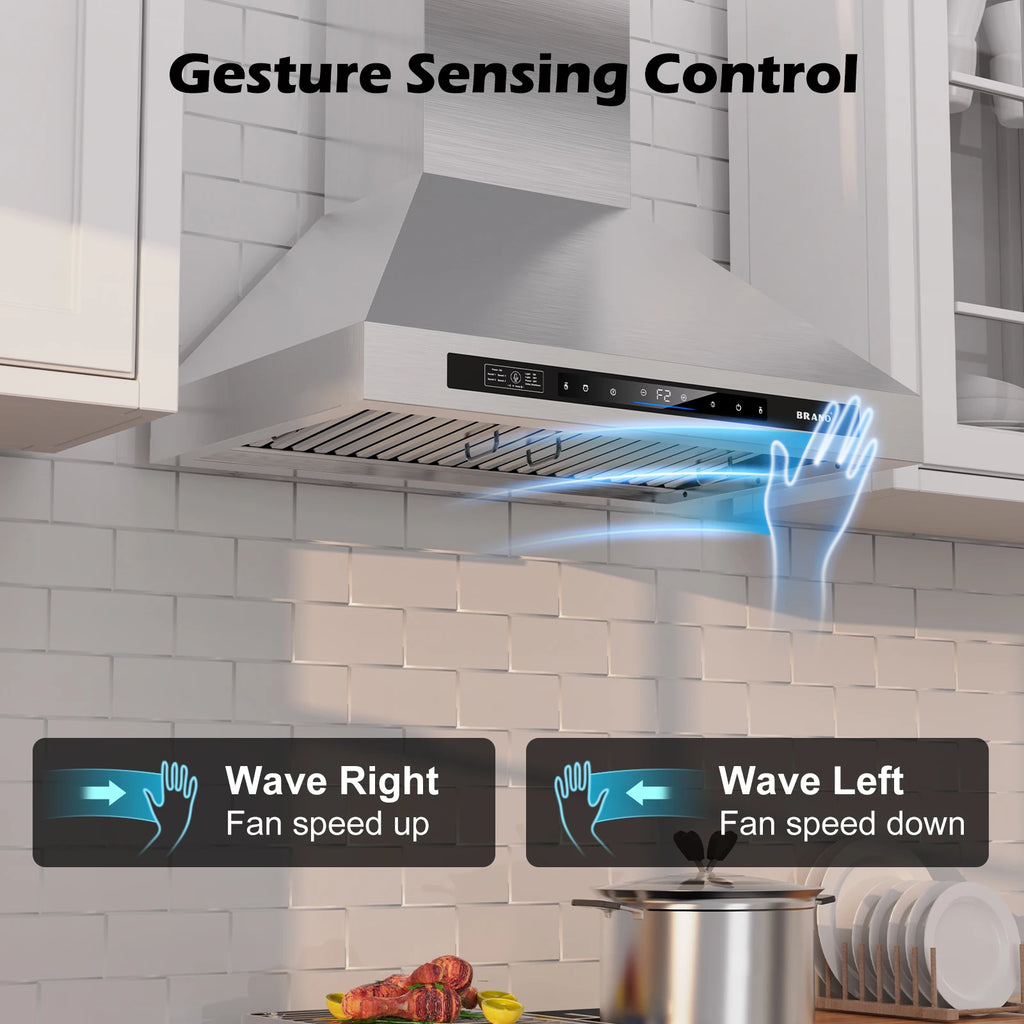 Wall Mount Range Hood 30/36 inch