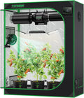 Hydroponic Grow Tent