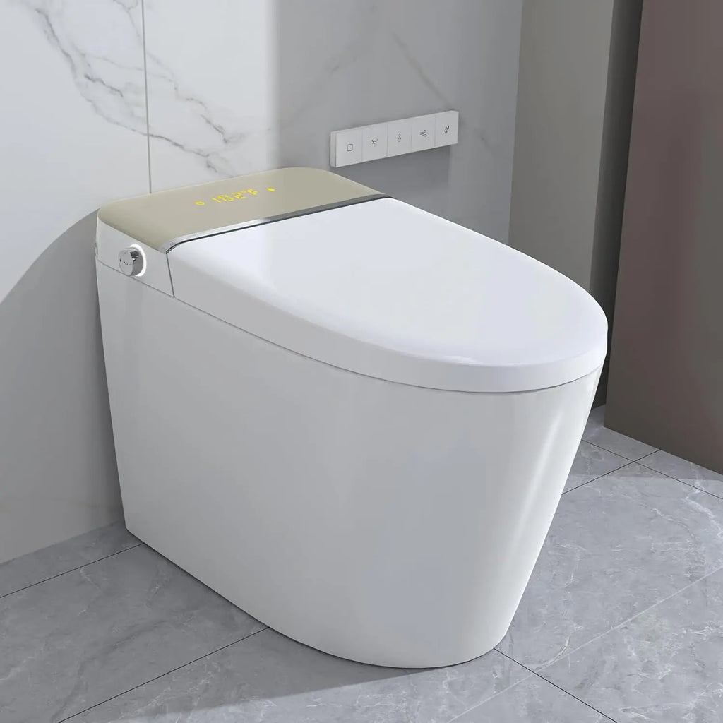 Smart Toilet, Elongated One Piece Bidet Toilet