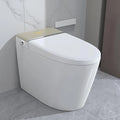 Smart Toilet, Elongated One Piece Bidet Toilet