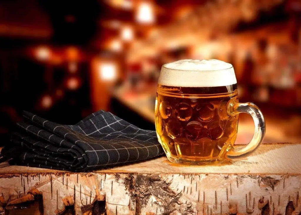 Set of 6 Traditional German Beer Mugs
