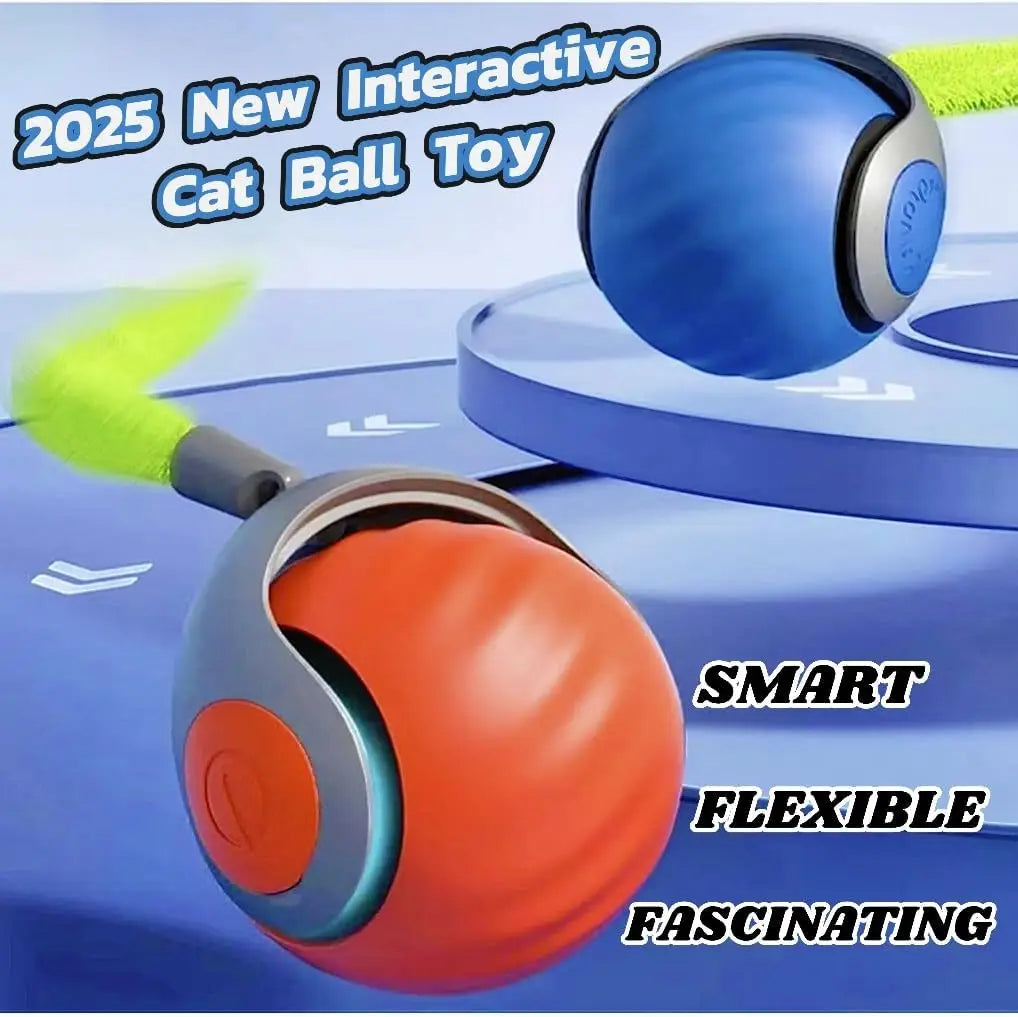 Interactive Cat Toy
