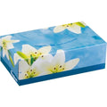 Strong & Gentle Facial Tissue