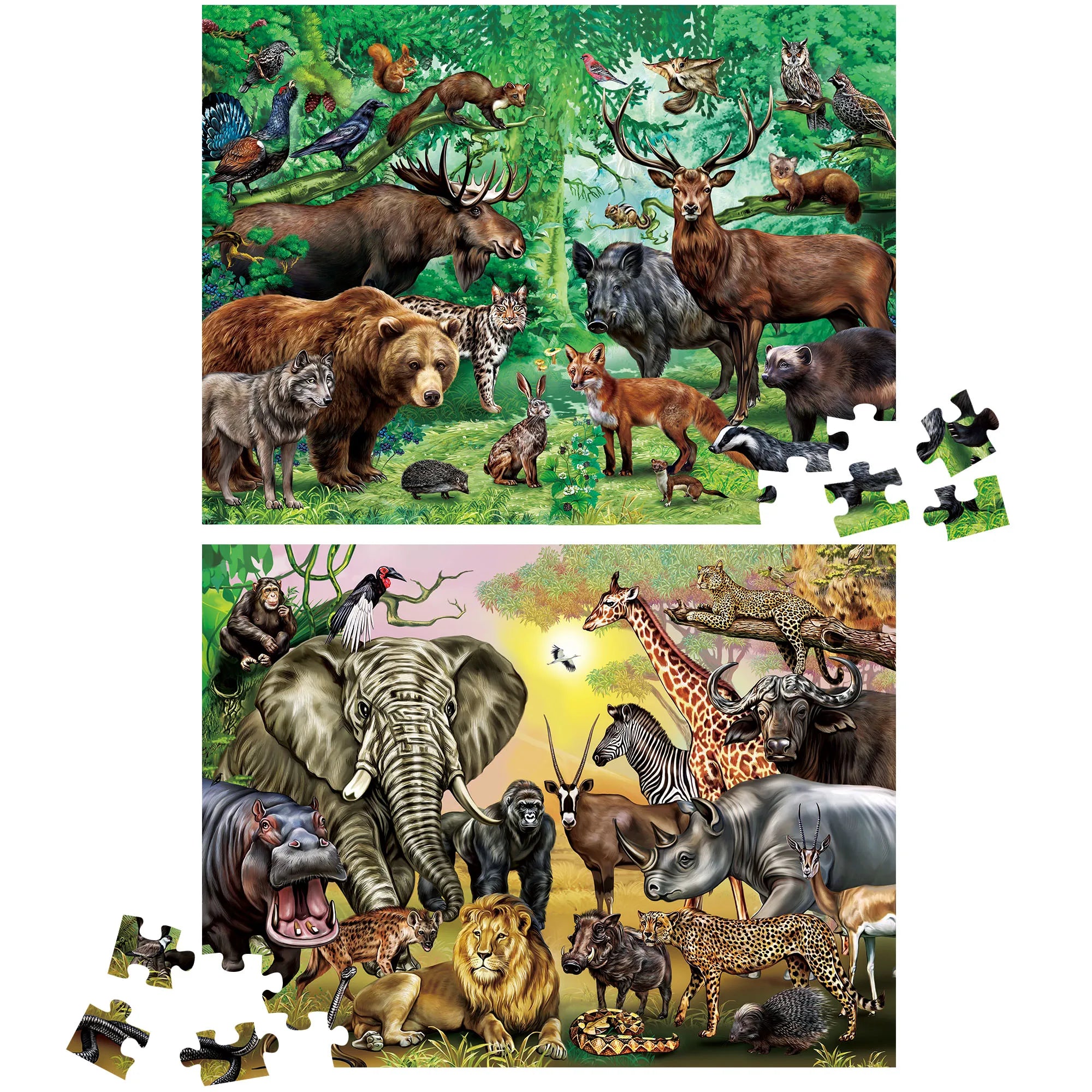 Two in One, 100 Piece Double sided Puzzles