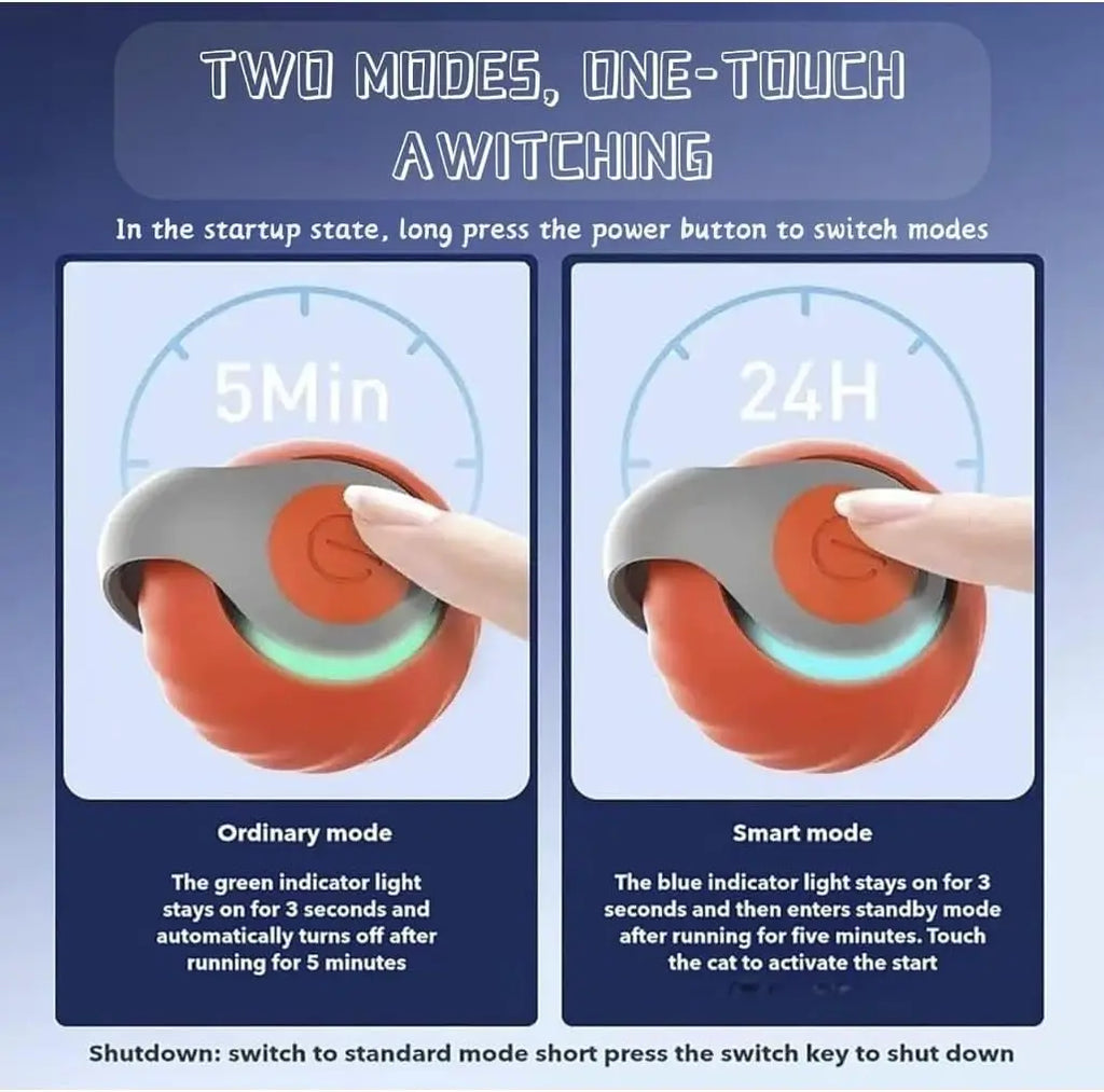 Interactive Cat Toy
