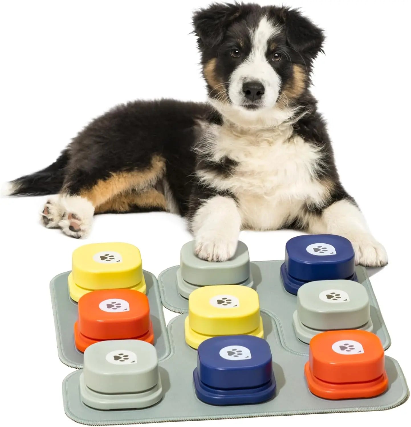 Dog Buttons with Rubber Mat Recordable Talking