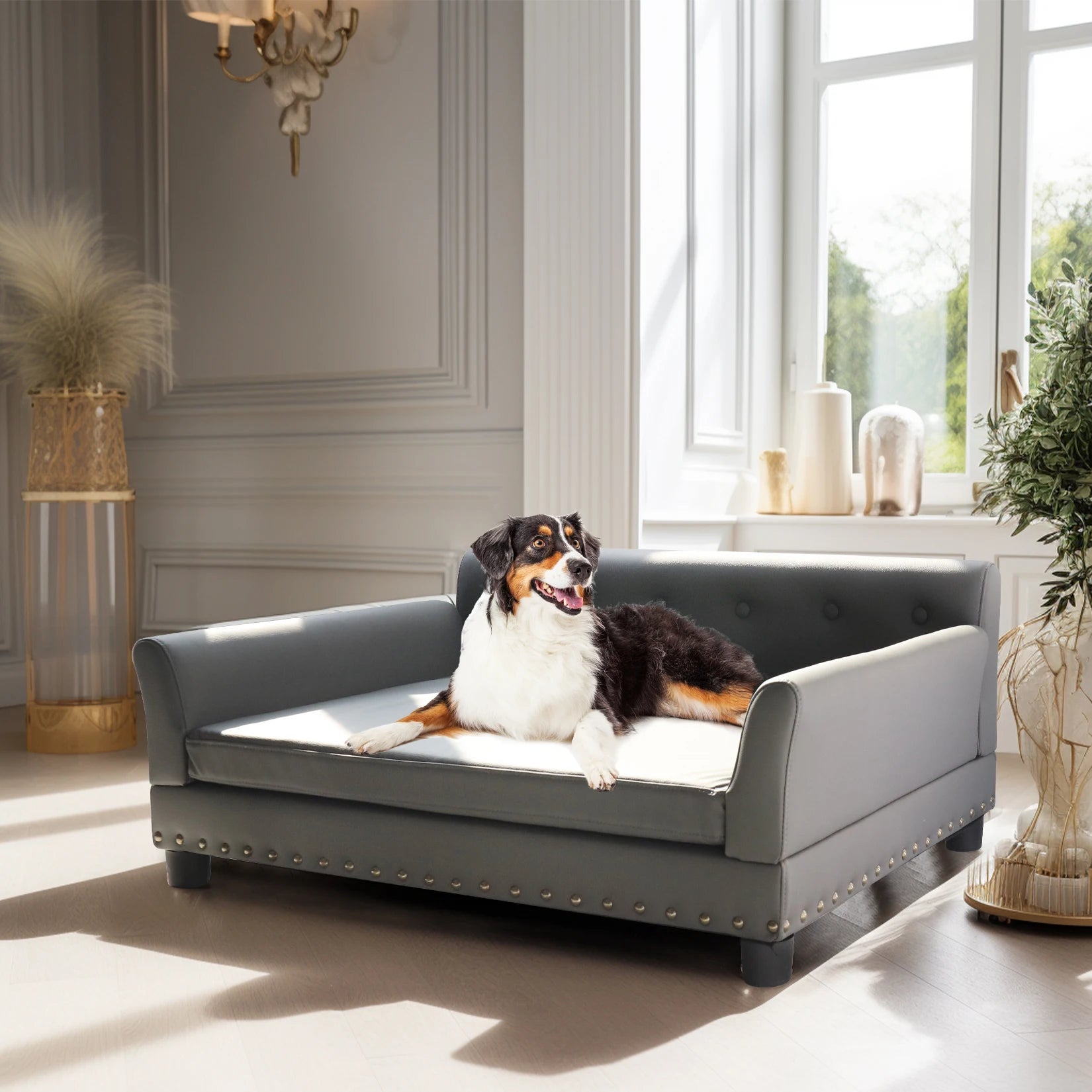 Pet Sofa