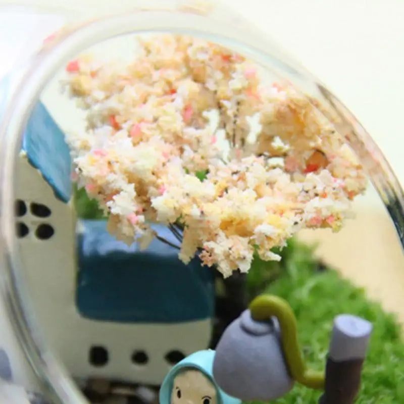 Round Terrarium Fish Bowl