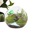 Round Terrarium Fish Bowl