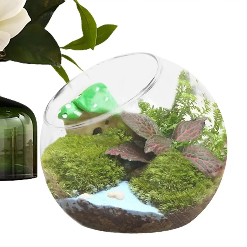 Round Terrarium Fish Bowl