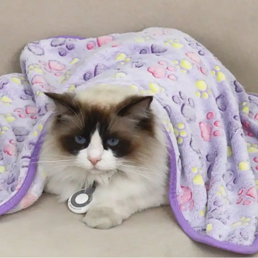 Soft Purple Fleece Blanket
