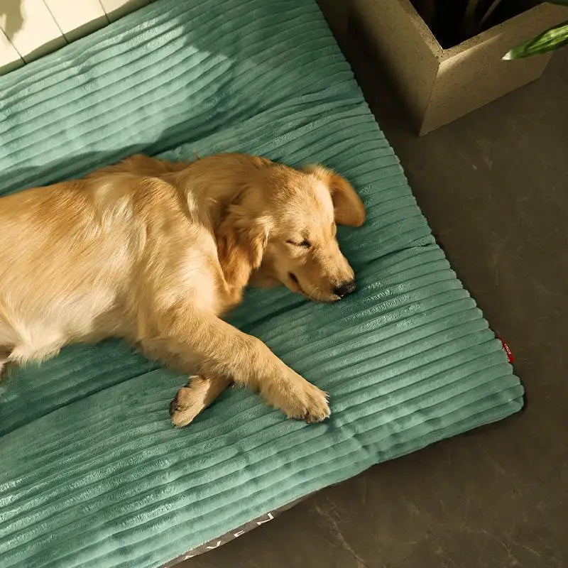 Deluxe Dog Bed