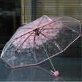 Transparent Clear Umbrella 3 Fold