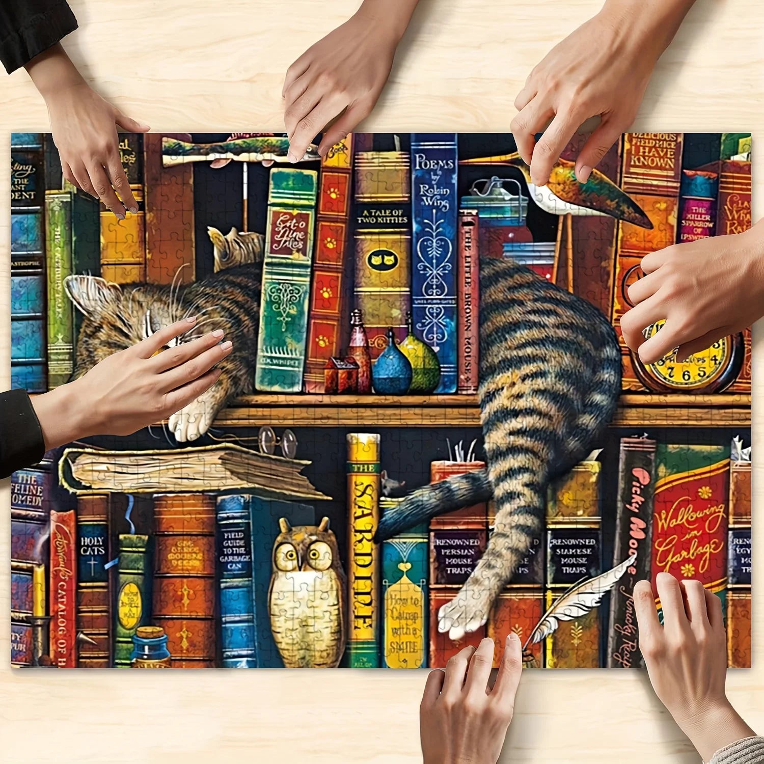 Adults 1000 Pieces Jigsaw Puzzle
