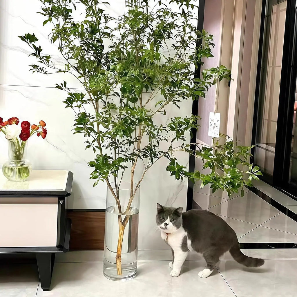 Extra Large Clear Acrylic Cylinder Vase