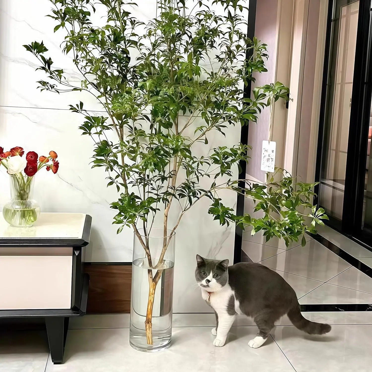 Extra Large Clear Acrylic Cylinder Vase